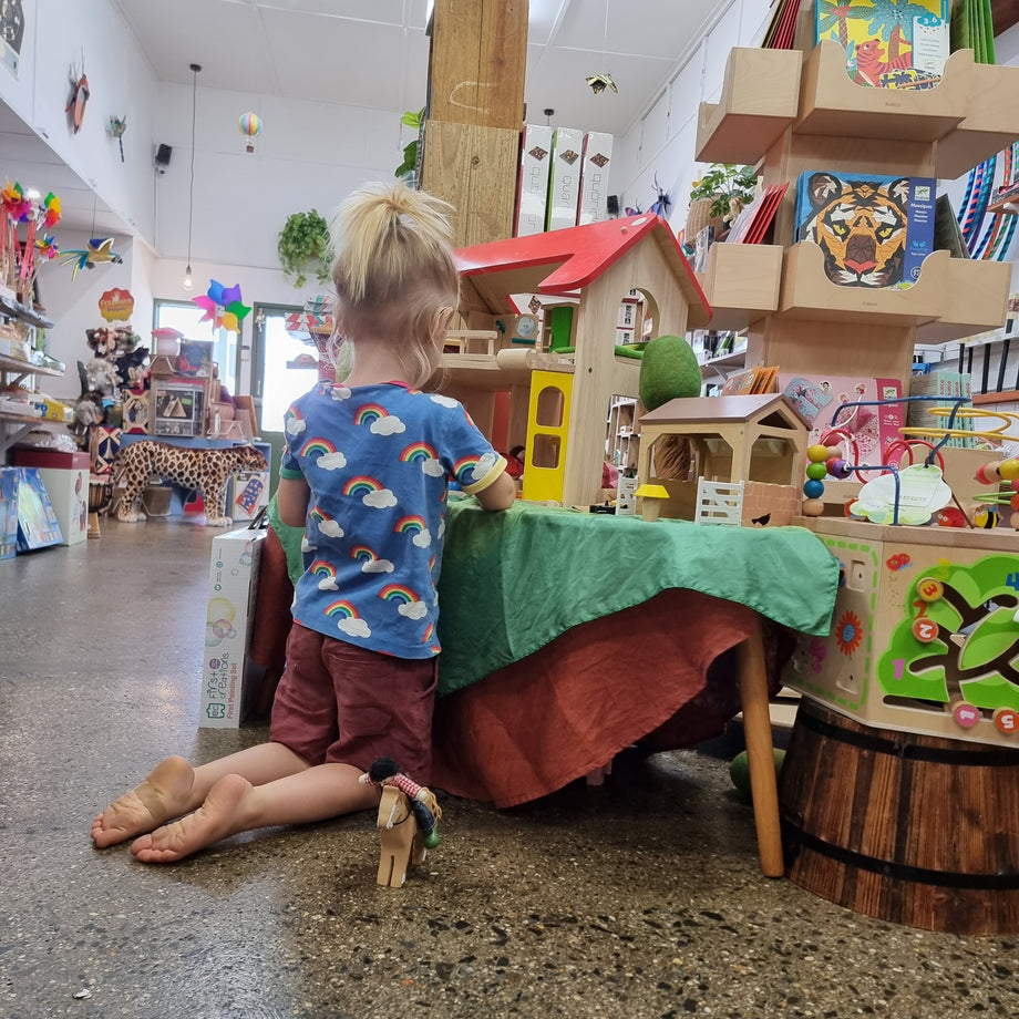 Toddler boy toy store house