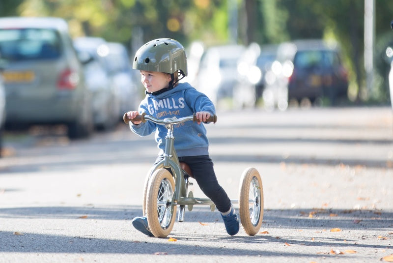 TryBike 2 in 1 Balance Bike and Trike Earth Toys