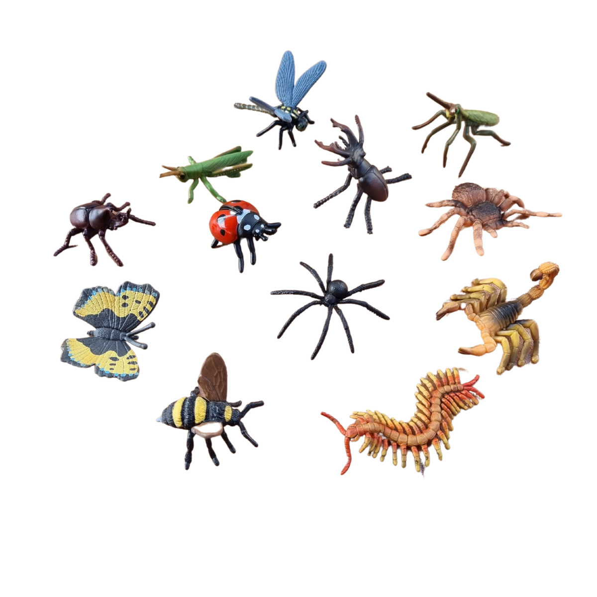 Insects and Spiders 12pc Gift Set - Collecta – Earth Toys